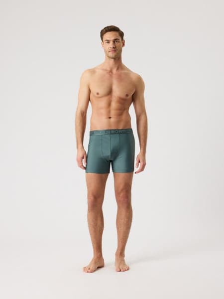 Borg Stretch Swim Shorts