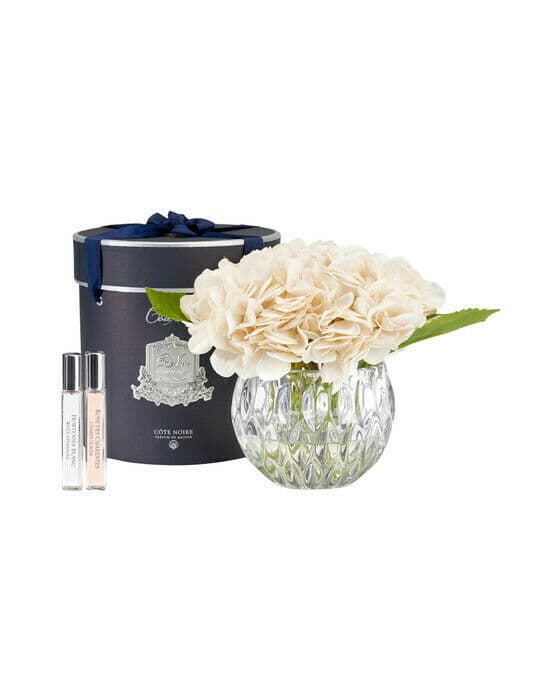 Hydrangeas gavesett