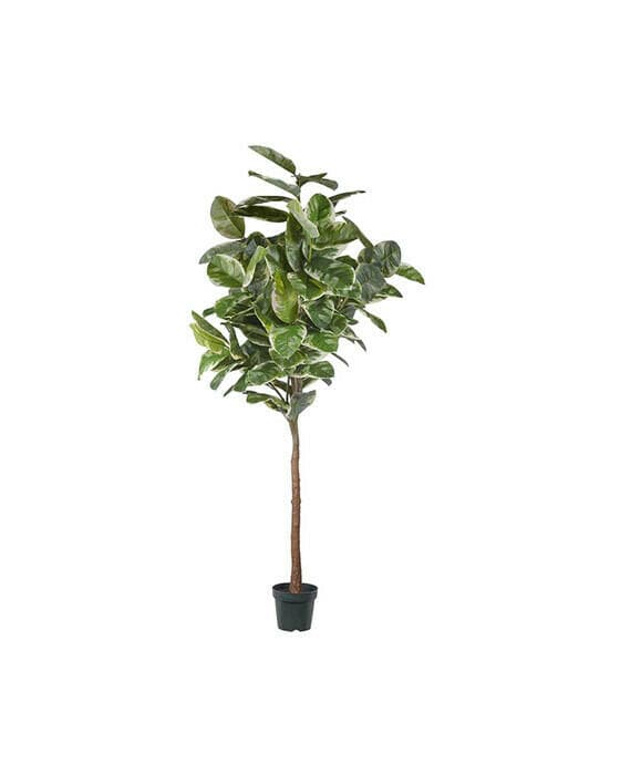 Gummifiken kunstig plante grønn