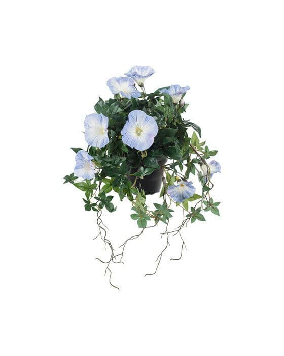 Ipomoea tricolor kunstig plante blå