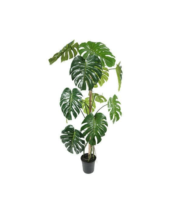 Monstera kunstig plante grønn