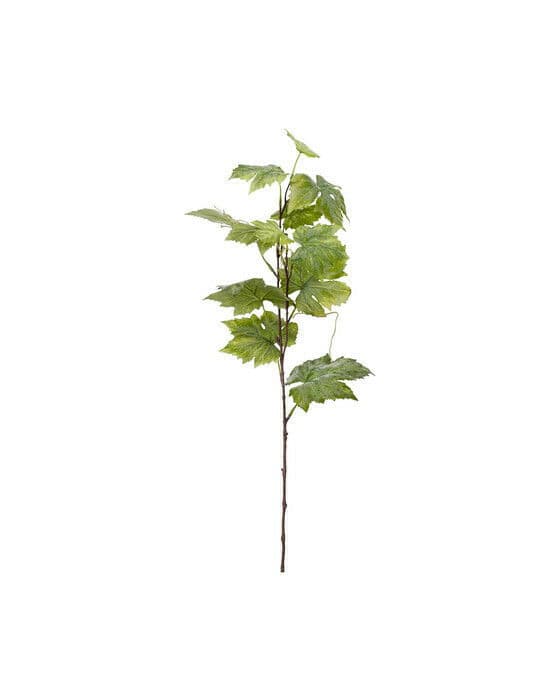 Currant Twig Green