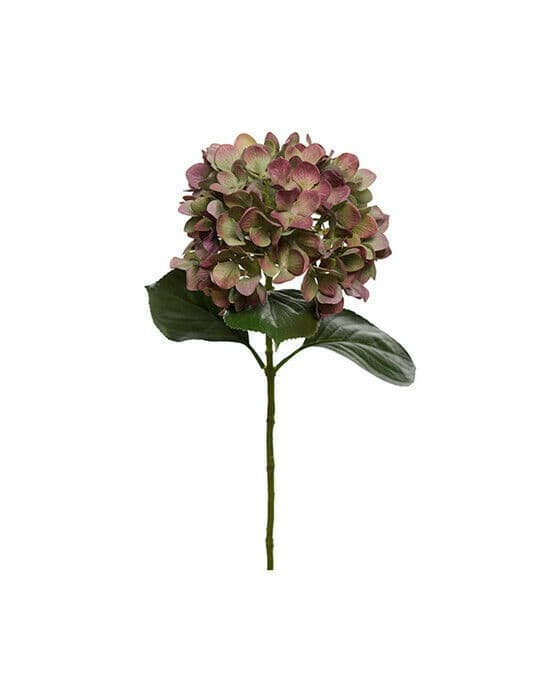 Hortensia snittblomst burgunder