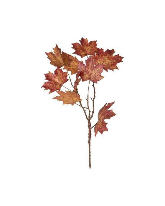 Lønn snittblomst oransje