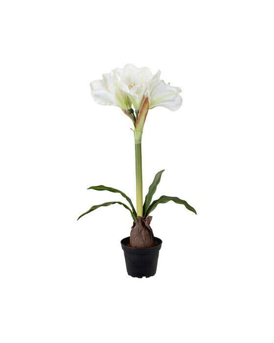 Amaryllis kunstplante hvit
