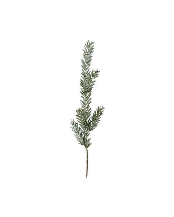 Kvist snittblomst grønn