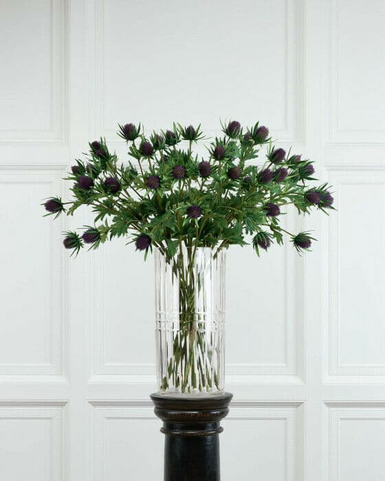 Tistel snittblomst blå
