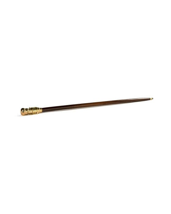 Telescope Walking Stick