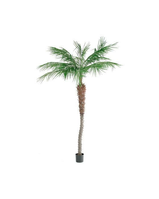 Phoenix palm kunstig tre
