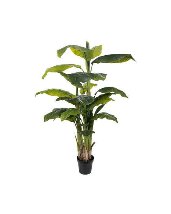 Banan kunstig plante