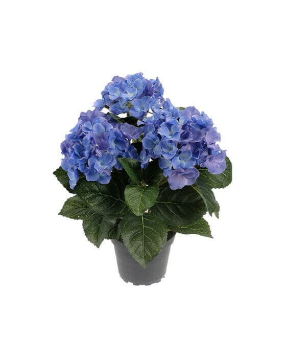 Hortensia kunstig plante blå