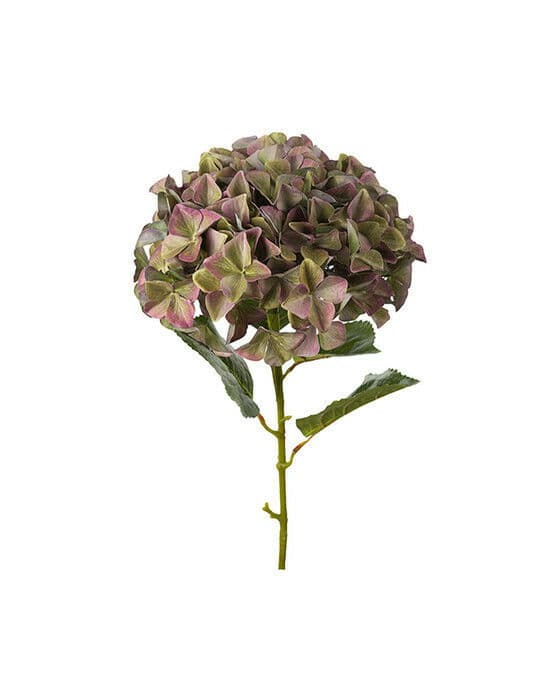 Hortensia snittblomst lilla