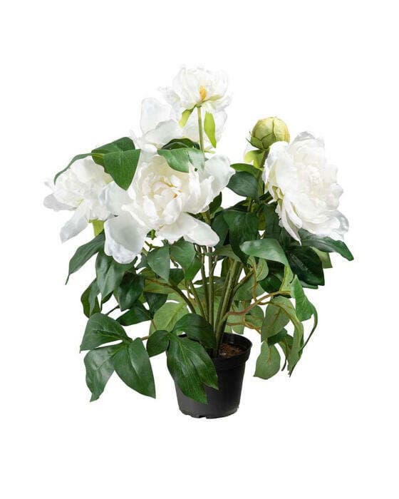 Peon kunstig plante hvit
