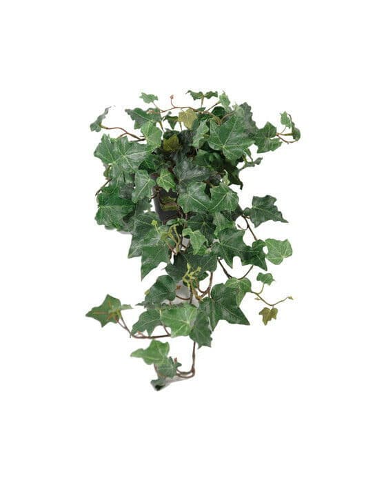 Eføy kunstig plante grønn