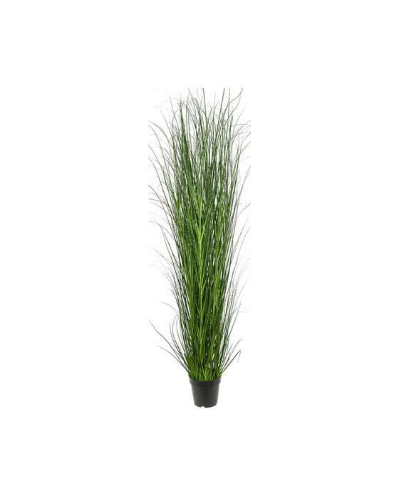 Gress kunstig plante grønn