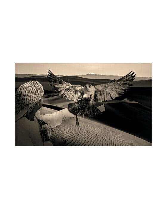 Arabian hunt