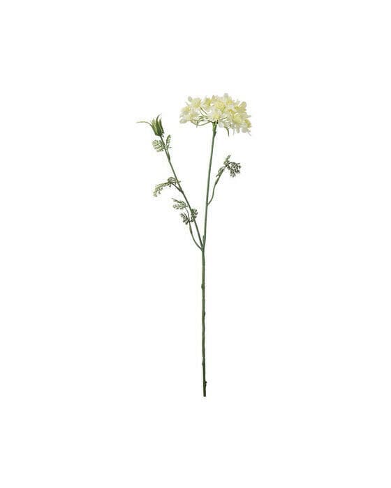 Blomsterkjørvel gul