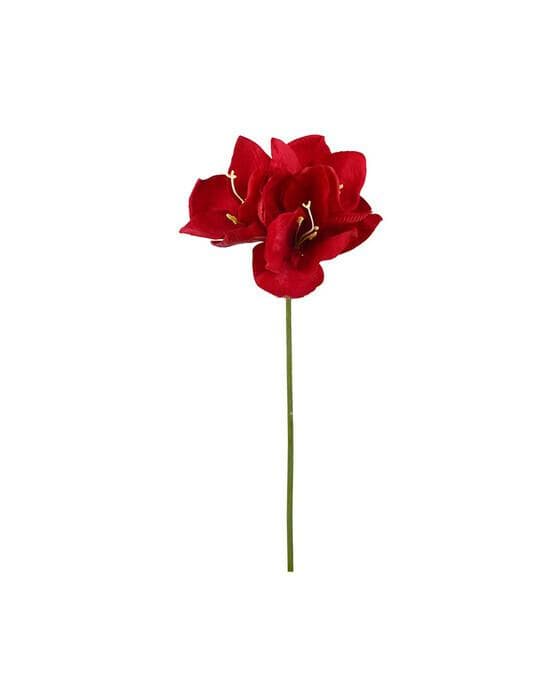Amaryllis snittblomst rød