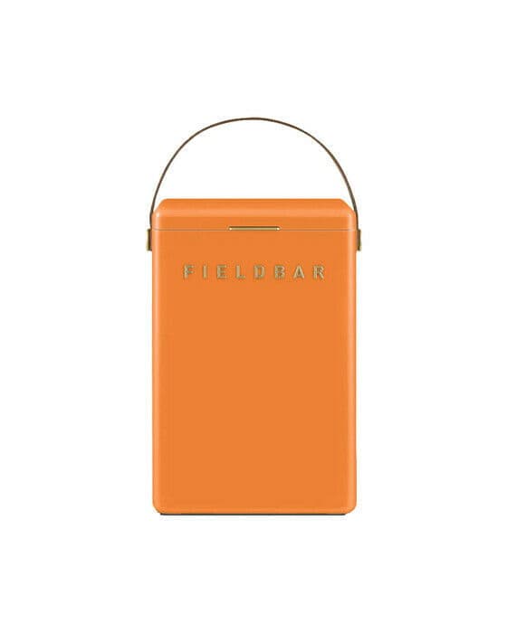 Fieldbar kjøleboks orchard orange