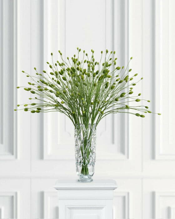 Pimpinell snittblomst grønn