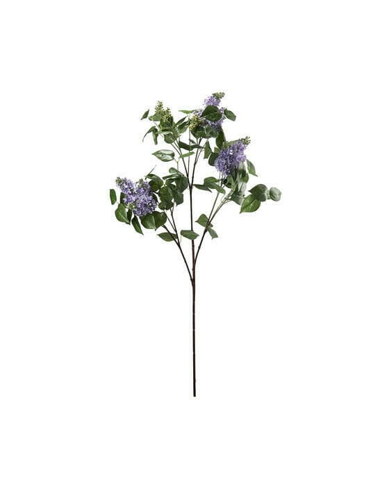 Syrinkvist snittblomst blå