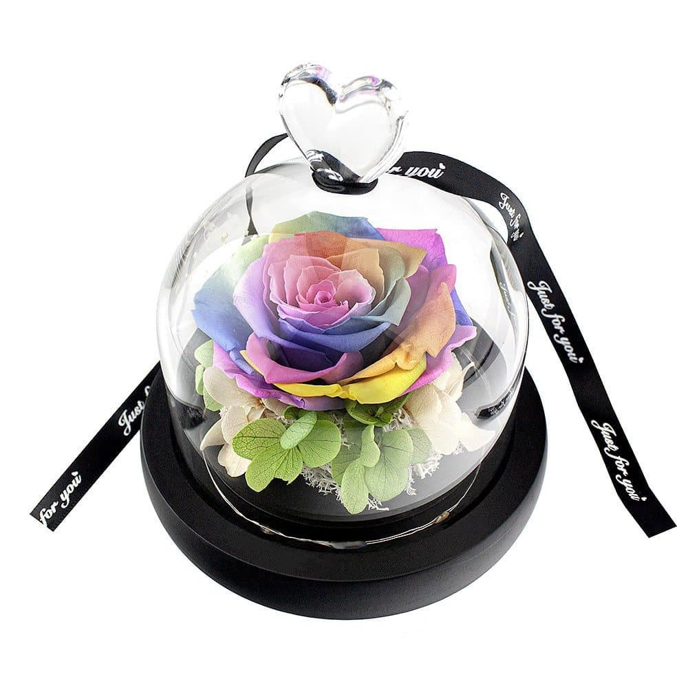 Liten Rose i Glasskuppel - Regnbue