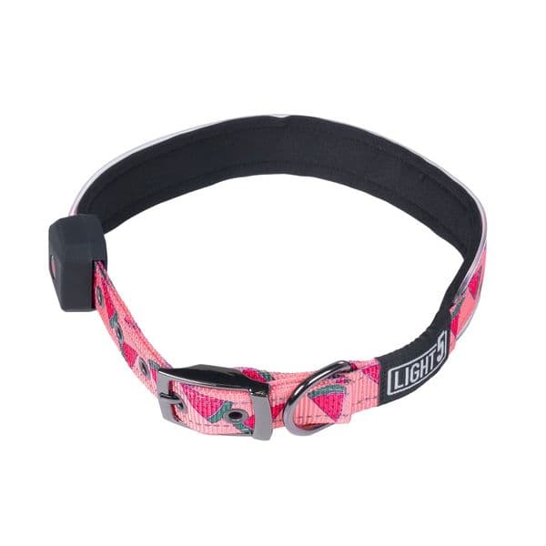 Hundehalsbånd LIGHT5 Doggo Led Collar, Pink, M
