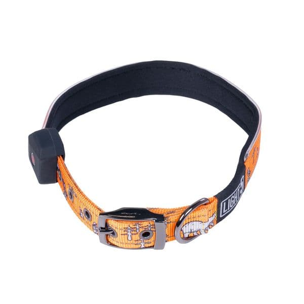 Hundehalsbånd LIGHT5 Doggo Led Collar, Oransje, L
