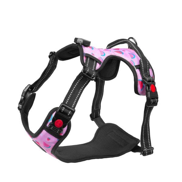 Sele LIGHT5 Doggo Led Harness, Pink, XL