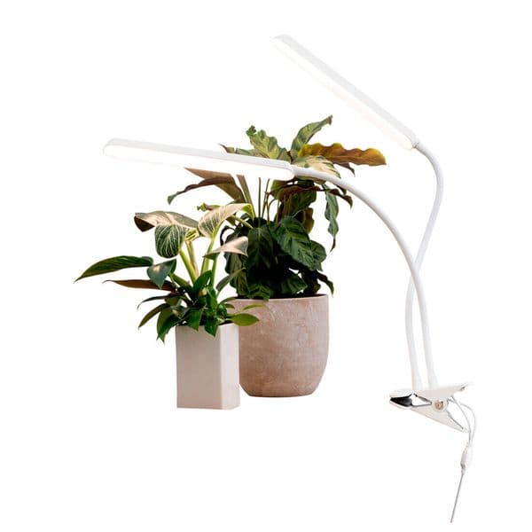 Plantelys AIRAM Tulip, 780 lm