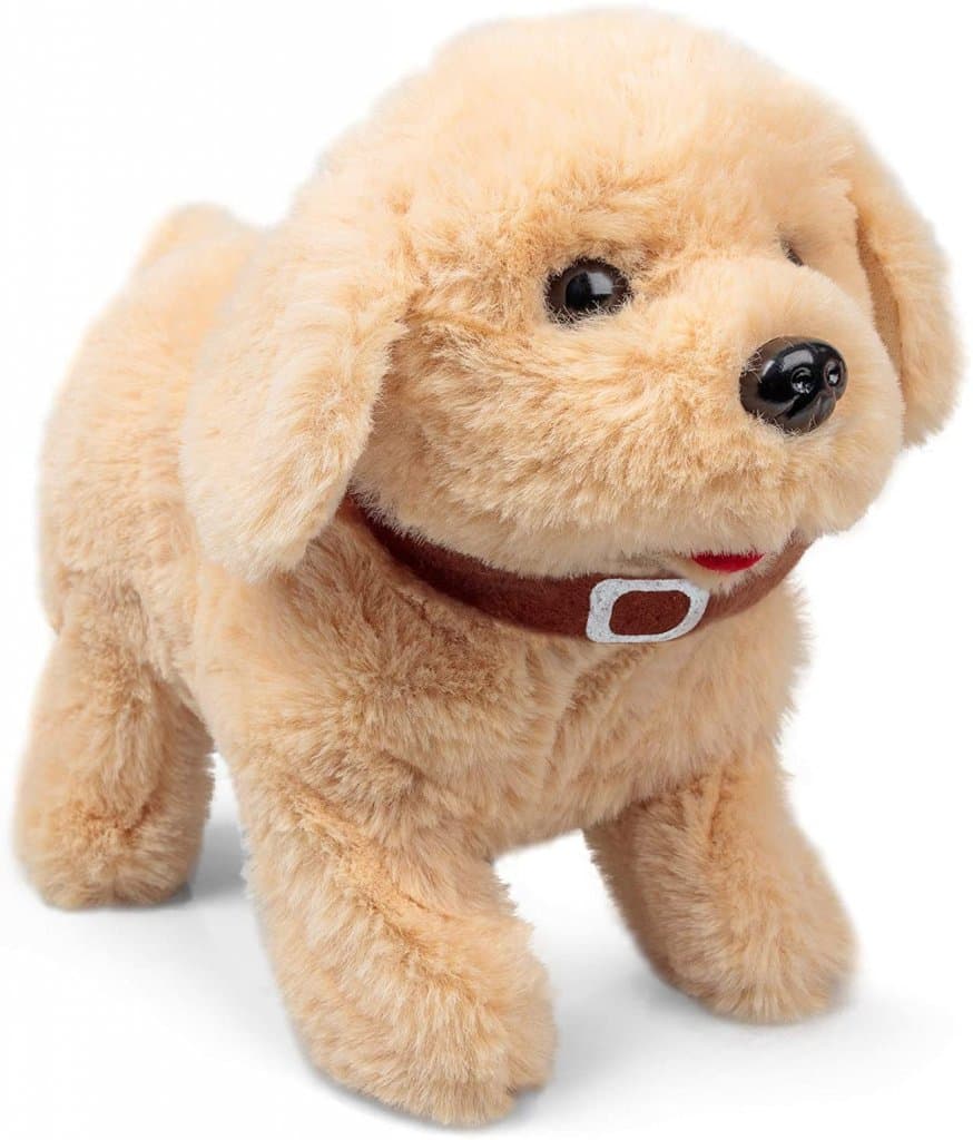 Puppy turgåing, bjeffing og utføre triks!