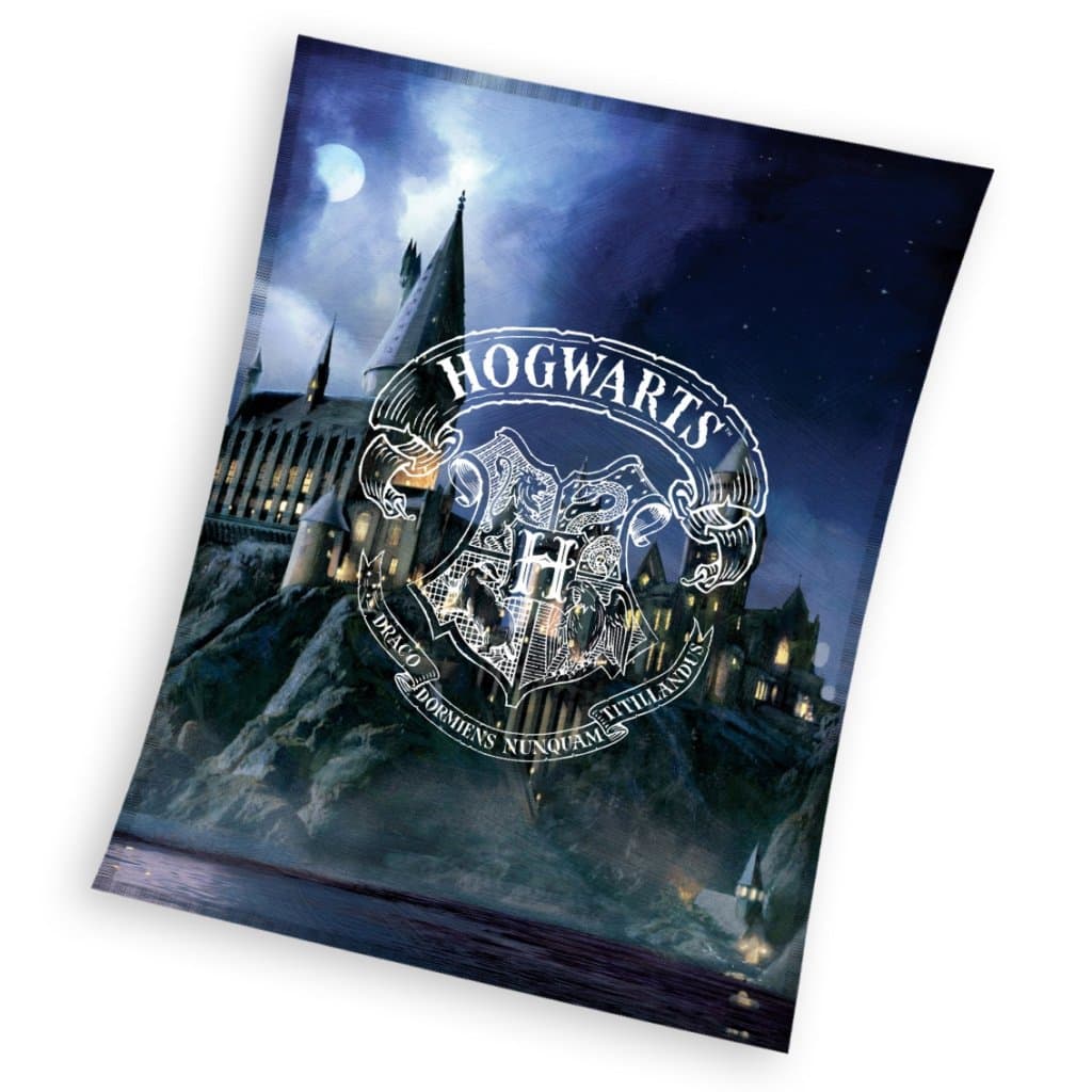 Harry Potter Hogwarts teppe 130x170cm