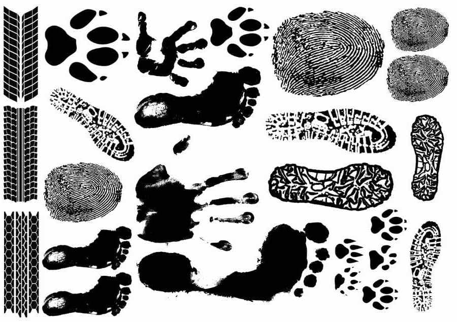 Fingerprint tattoos