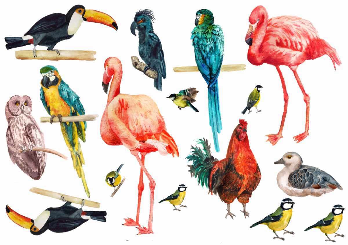 Watercolor Bird tattoos