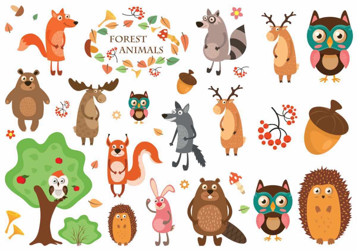 Forest Animals