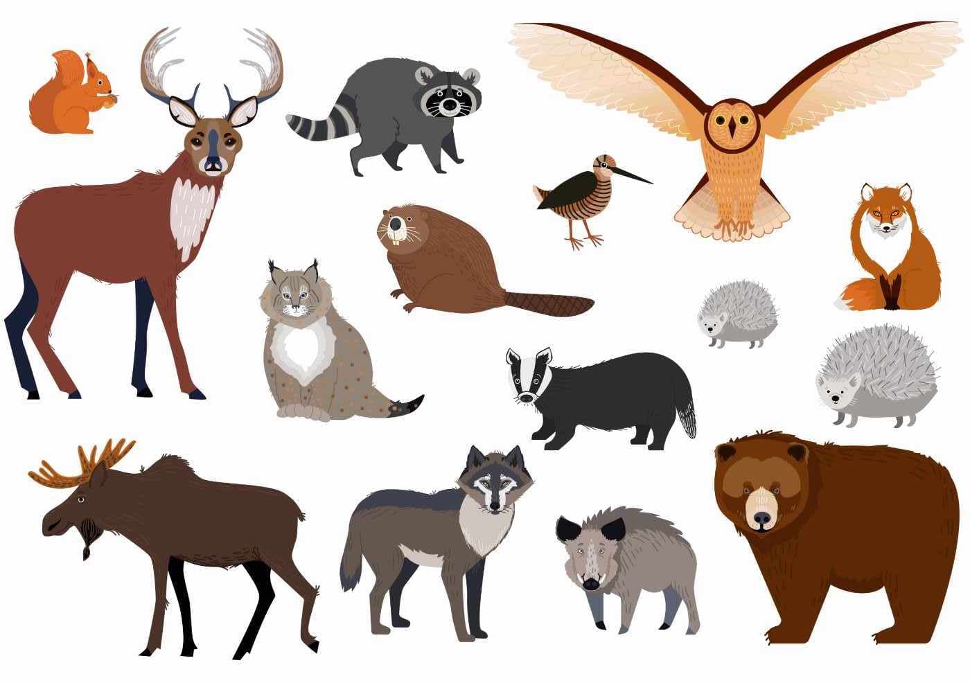 Nordic animals