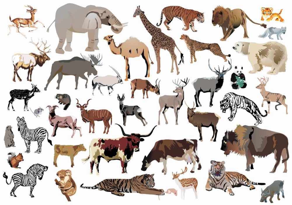 Small tattoos Wild animals