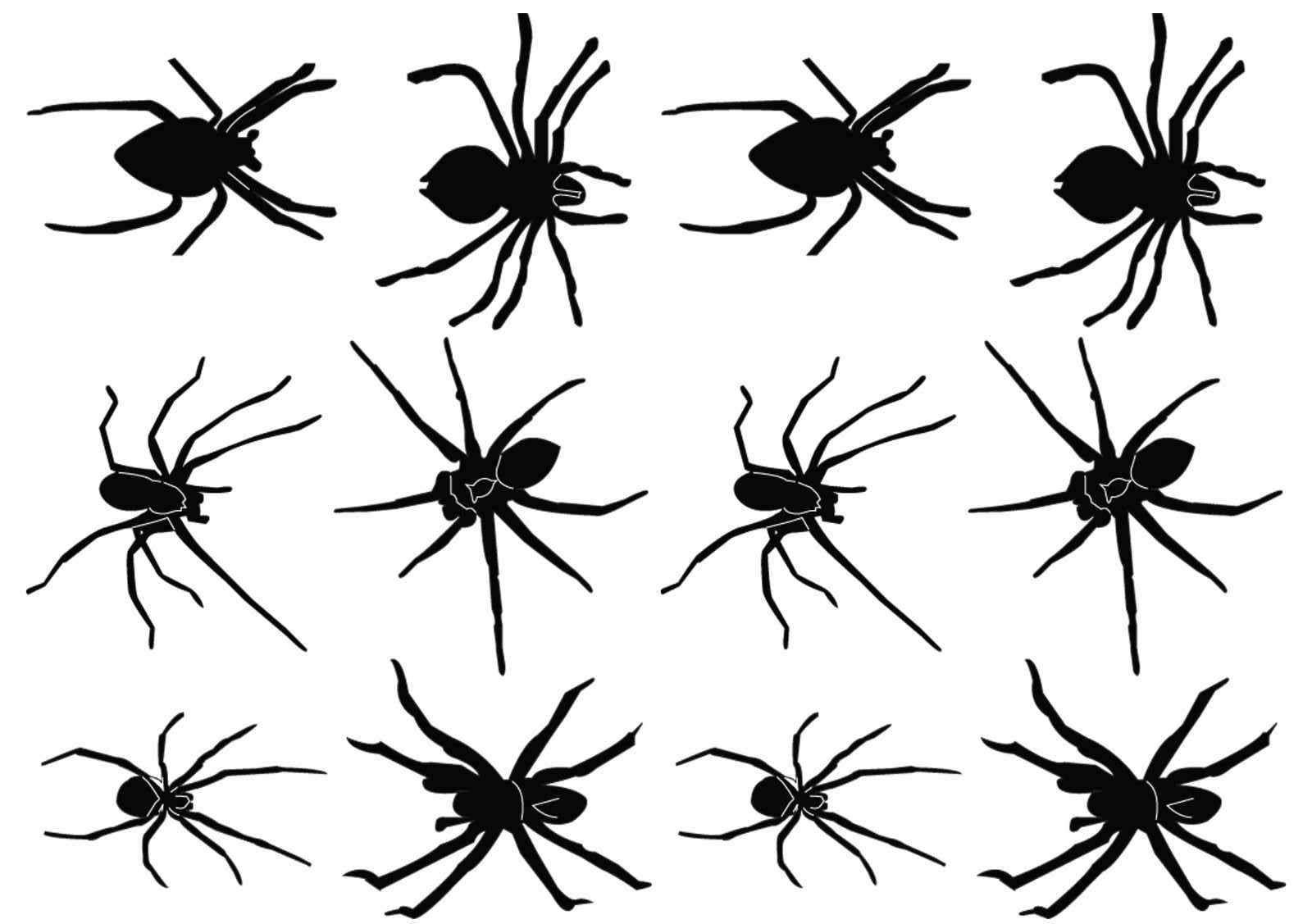 Spider tattoos