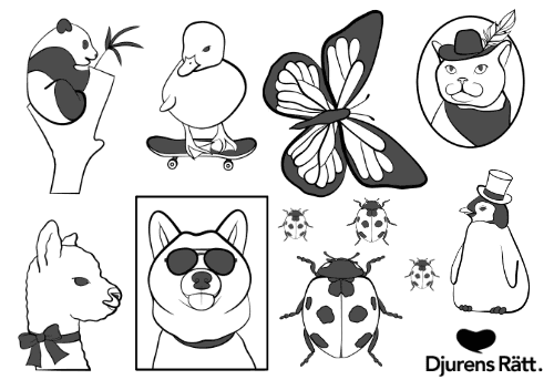 Djurens Rätt Illustrations by Nathalie Anna Gill