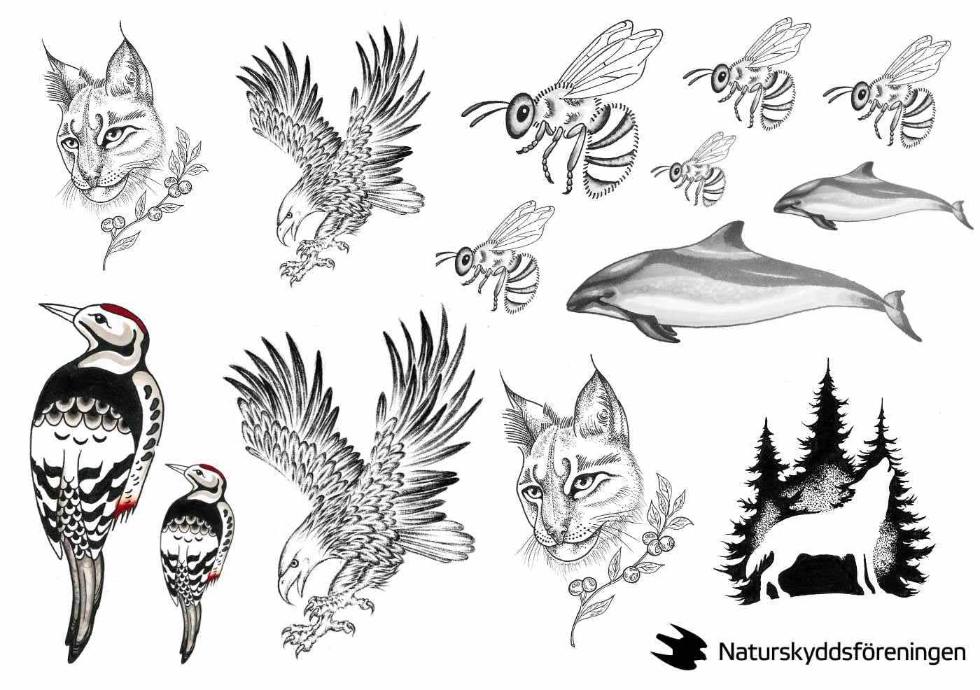 Naturskydds-föreningen wildlife
