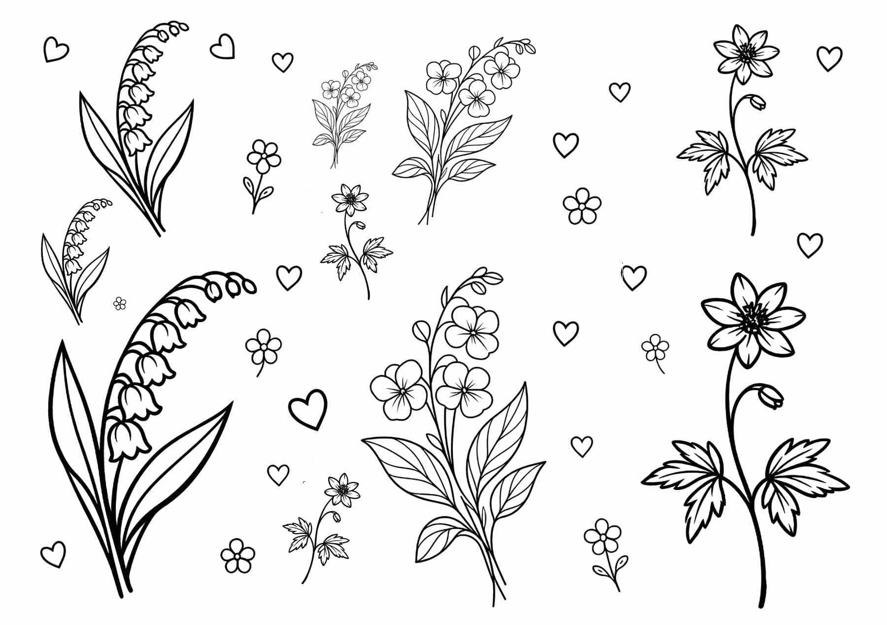 Wild Swedish Flowers
