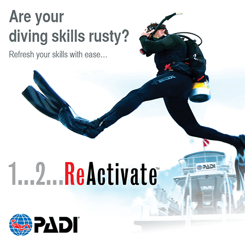 Oppfriskningskurs - Padi ReActivate Kontakt for dato