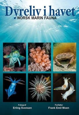 Dyreliv i havet - Norsk marin fauna