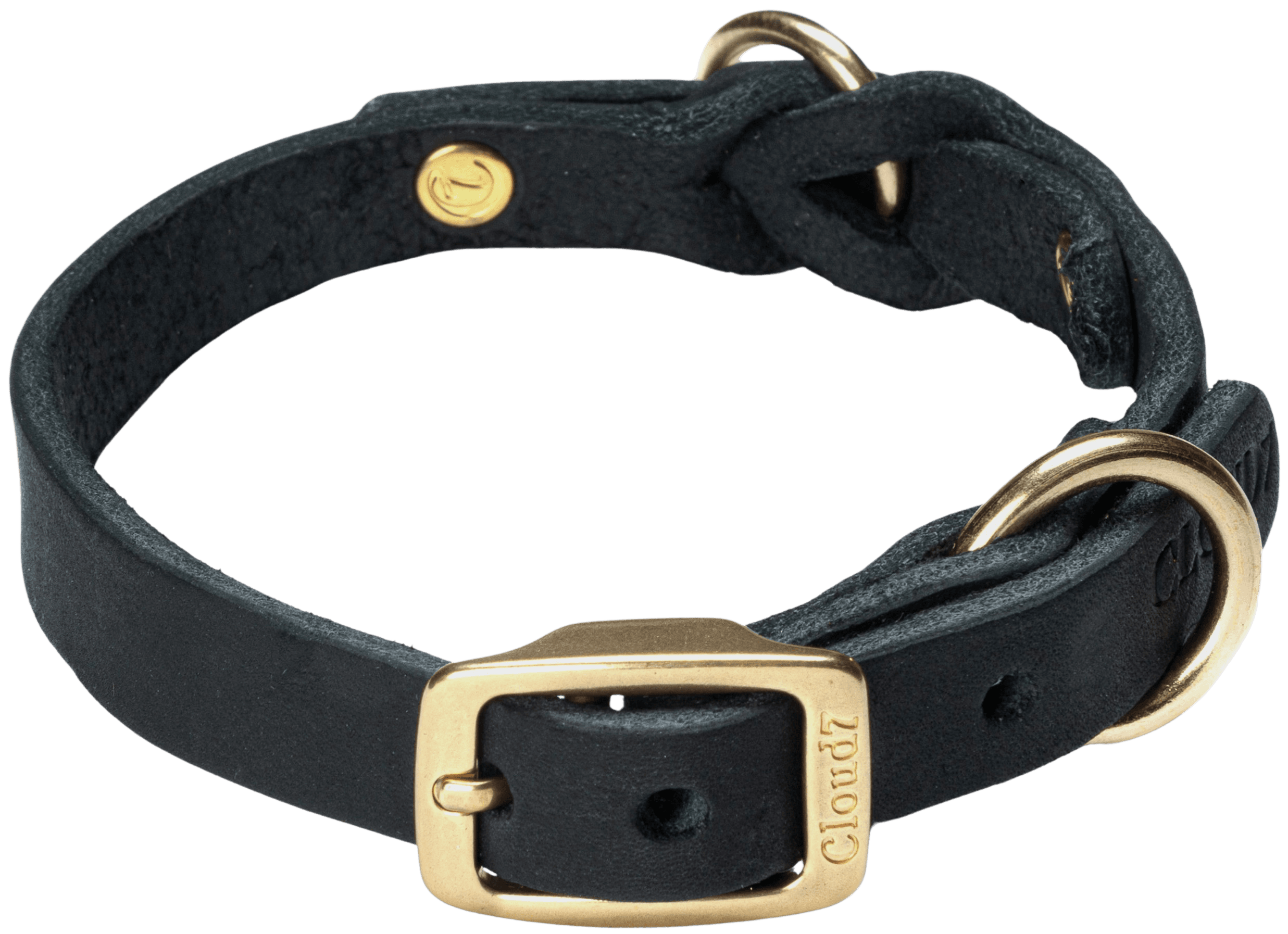 Cloud7 Collar Riverside Park M Black Gold