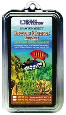 Brown Seaweed