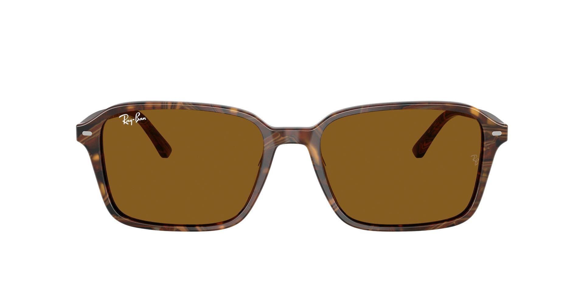 Ray-Ban RB2231 Raimond Brun