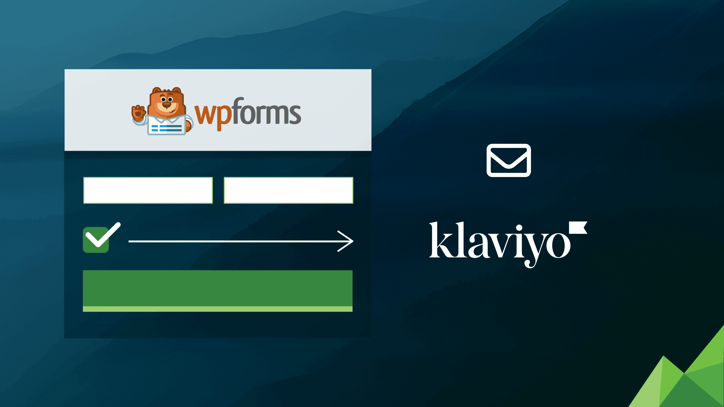 WPForms Klaviyo