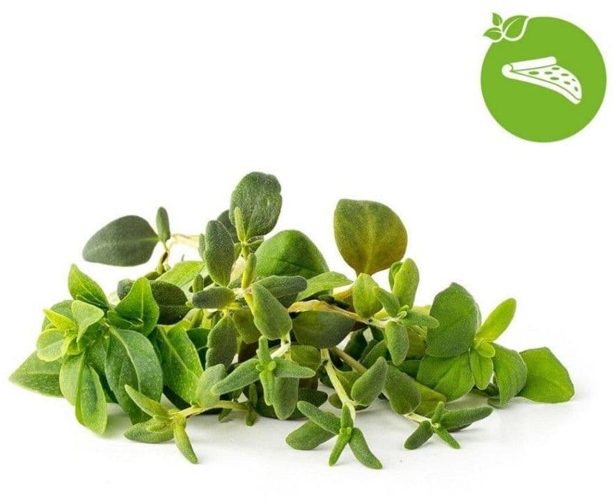 Click And Grow Smart Garden Refill 9-pack - Italienska örter