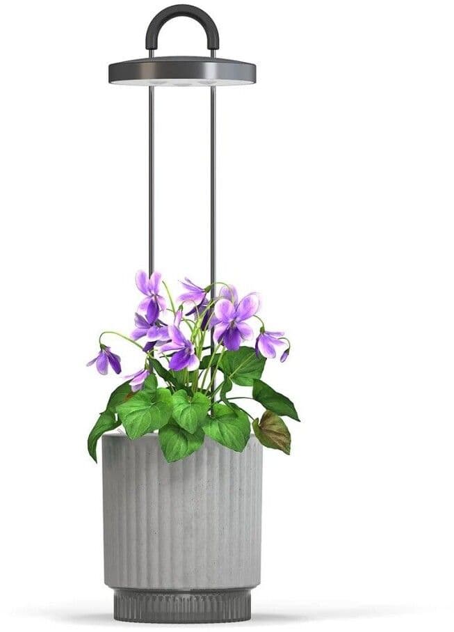 Click and Grow x HydroVase - Grå