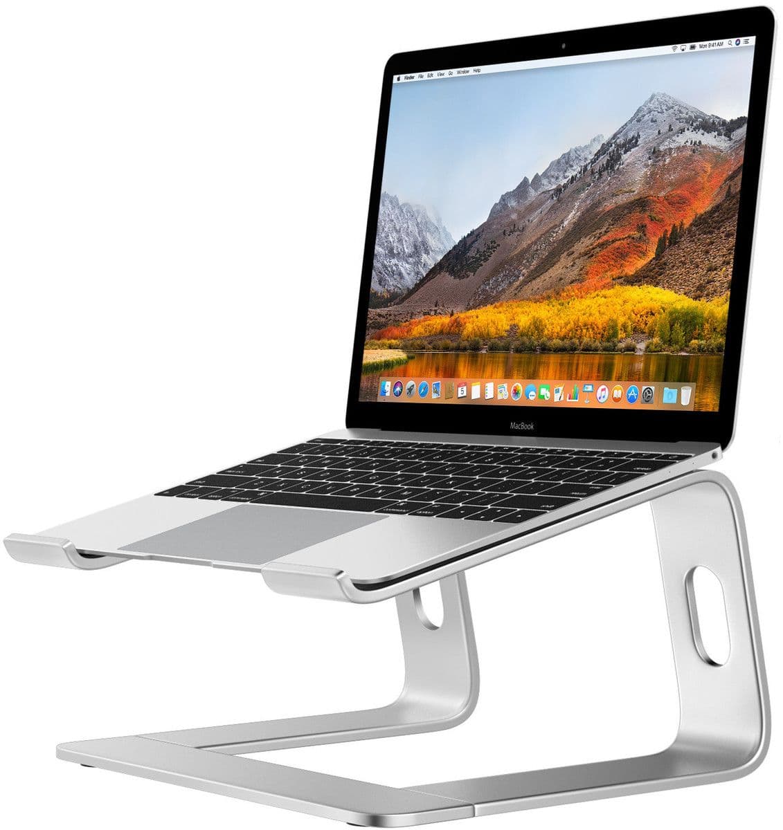 Desire2 Laptop Supreme Pro Stand - Sølv